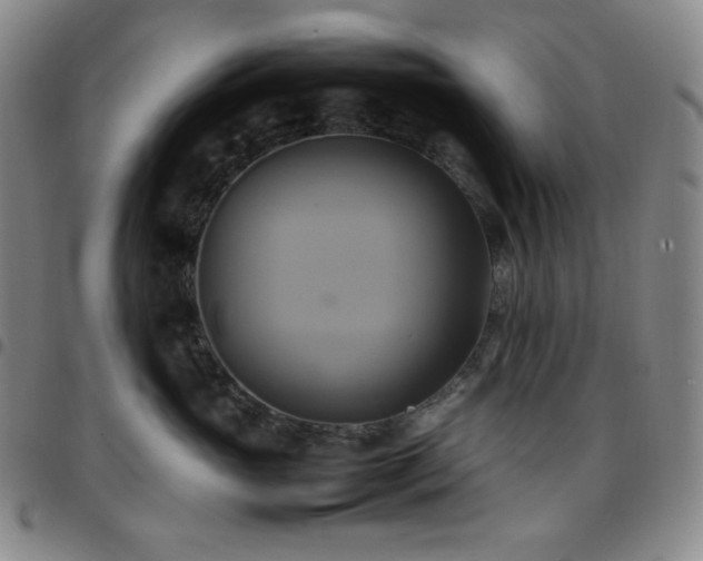 X0000097860765200803141238