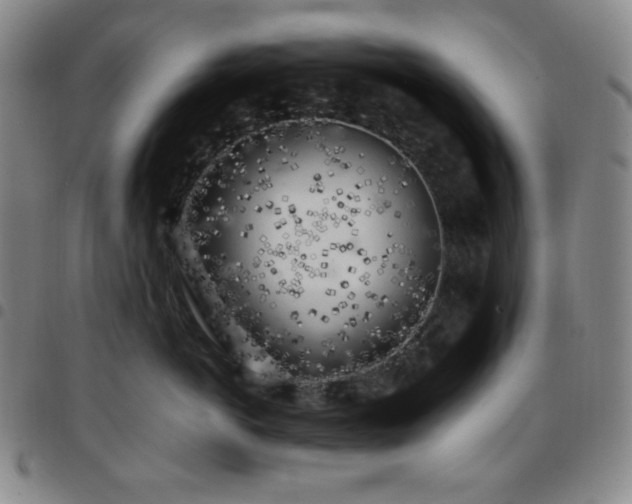 X0000097860766200803141238