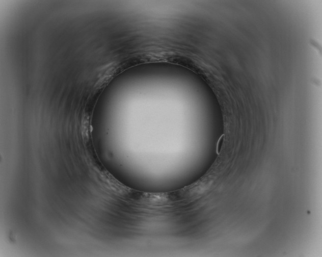 X0000097860768200803141238