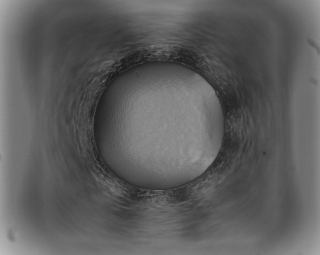 X0000097860769200803141238