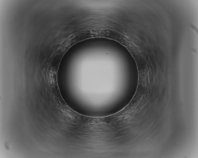 X0000097860770200803141238