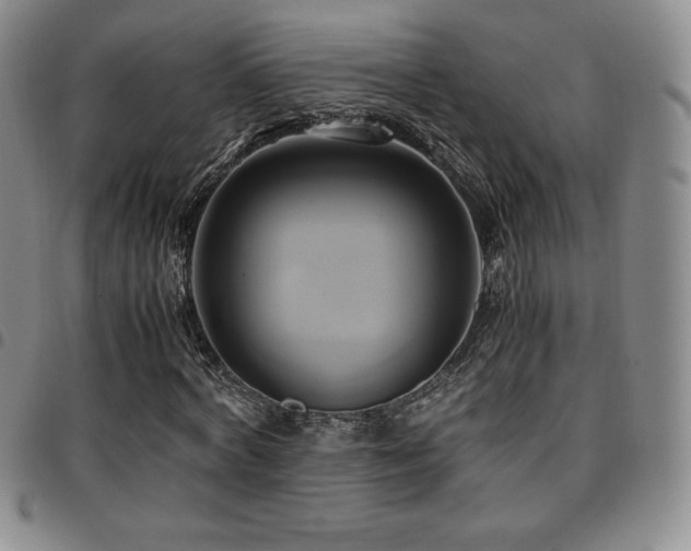 X0000097860772200803141238