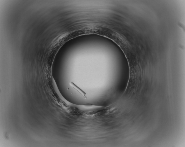 X0000097860773200803141238