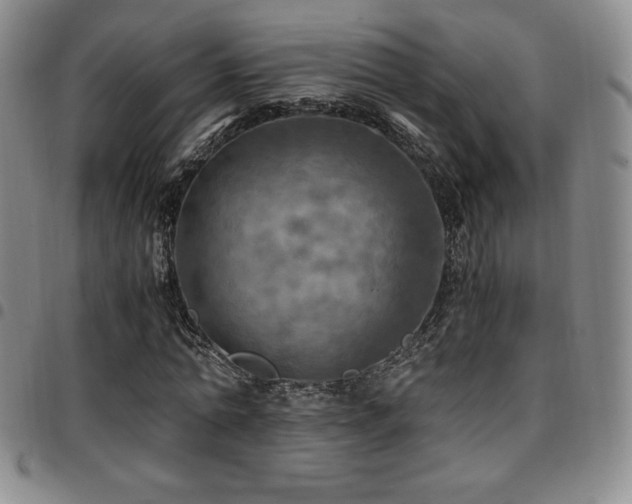 X0000097860774200803141238