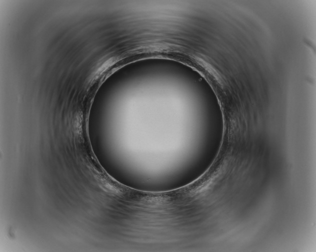 X0000097860778200803141238