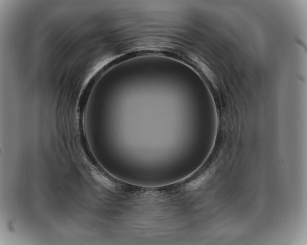 X0000097860779200803141238