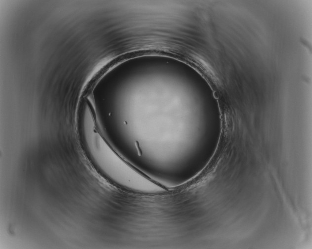 X0000097860780200803141238