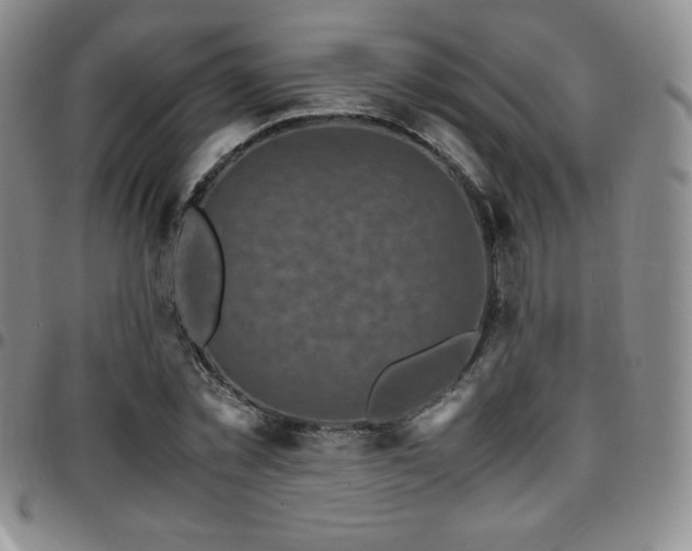 X0000097860781200803141238