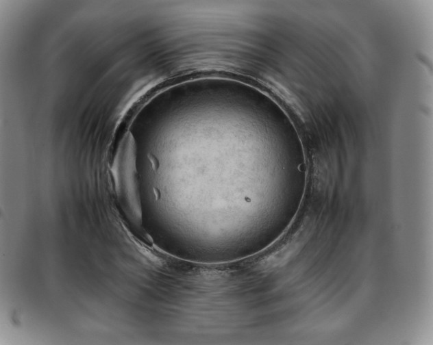 X0000097860782200803141237