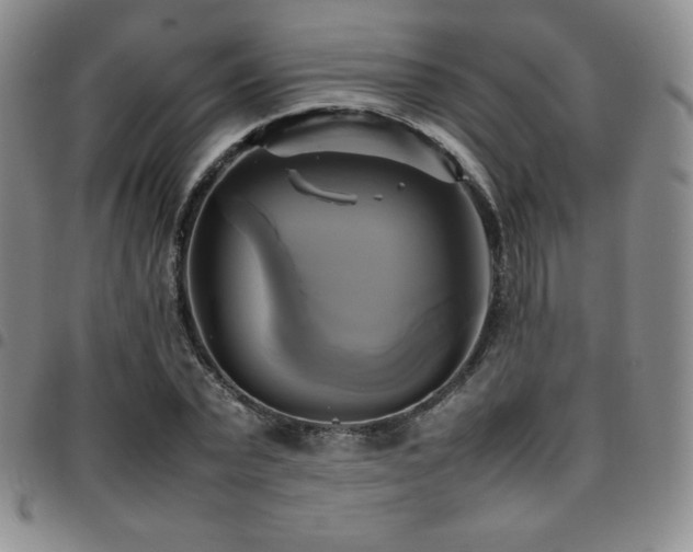 X0000097860783200803141237