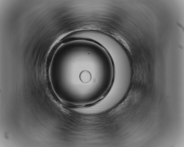 X0000097860784200803141237