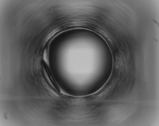 X0000097860786200803141237