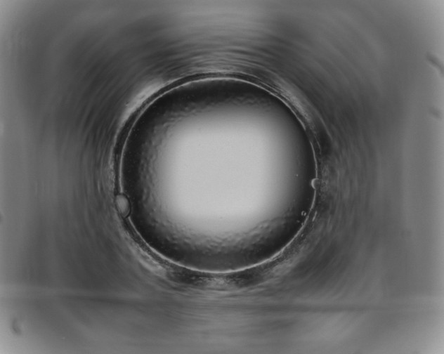 X0000097860787200803141237