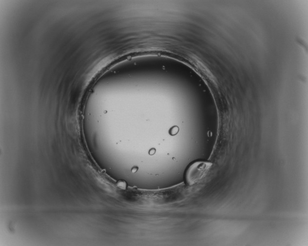 X0000097860789200803141237