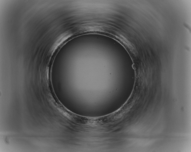 X0000097860790200803141237