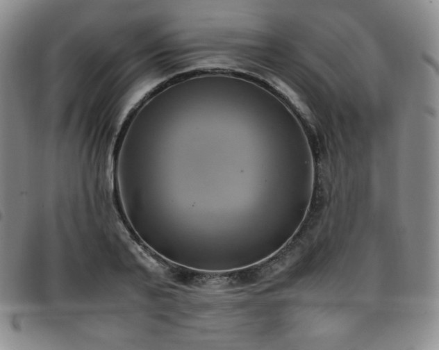 X0000097860791200803141237