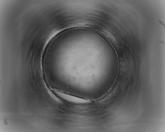 X0000097860792200803141237