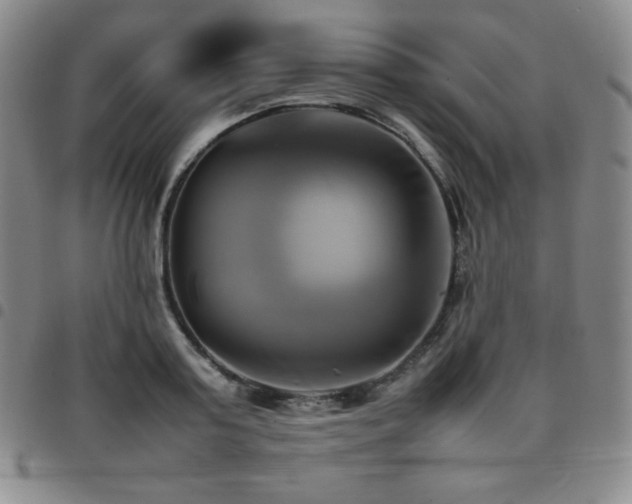 X0000097860795200803141237