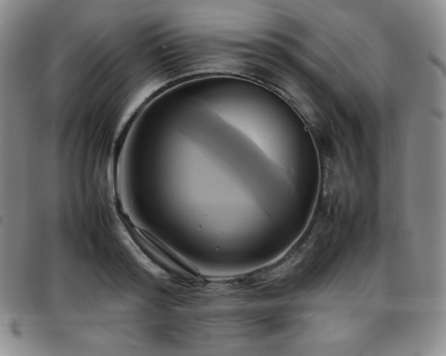 X0000097860796200803141237