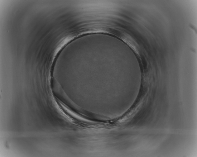 X0000097860797200803141237