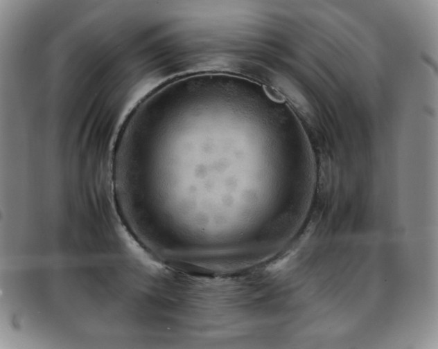 X0000097860800200803141237