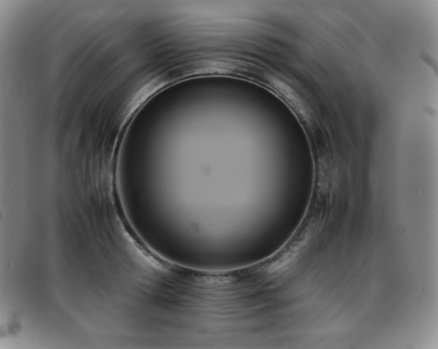 X0000097860802200803141237