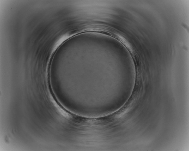 X0000097860803200803141237