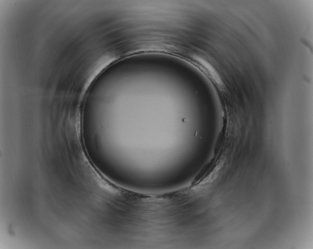 X0000097860804200803141237