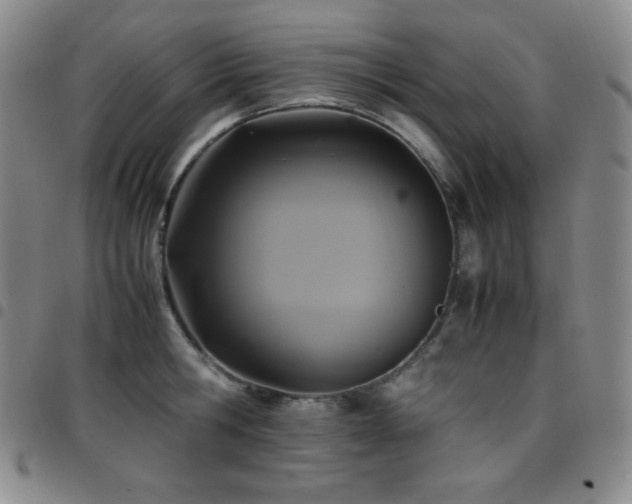 X0000097860806200803141237