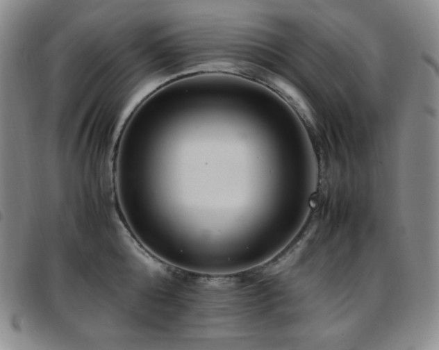 X0000097860808200803141237