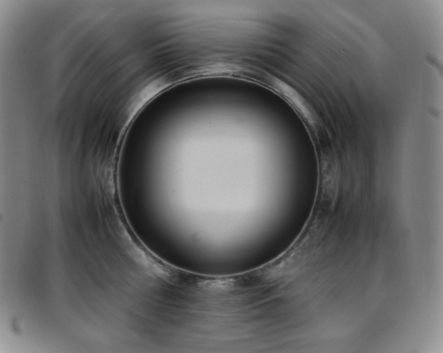 X0000097860810200803141237