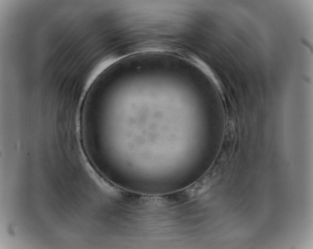 X0000097860811200803141237