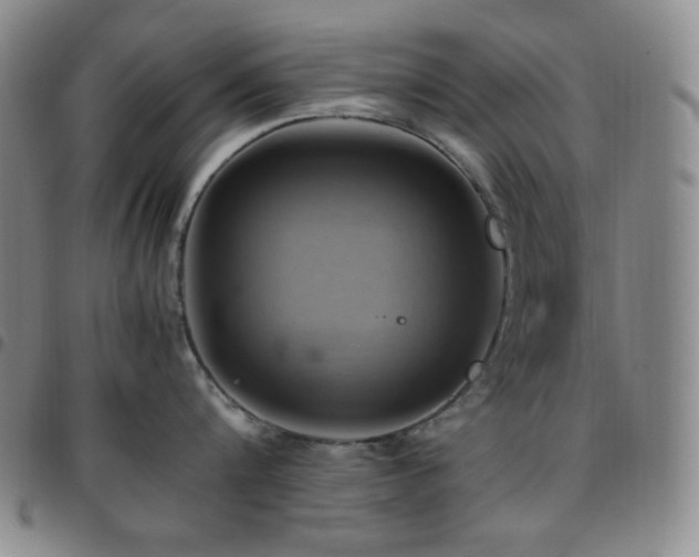 X0000097860816200803141237