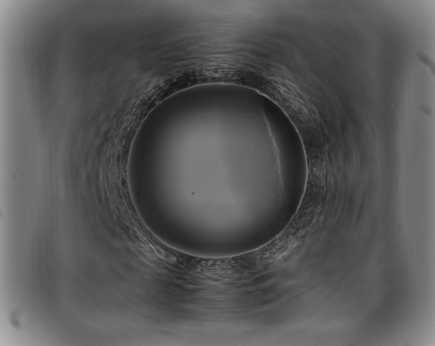 X0000097860817200803141236