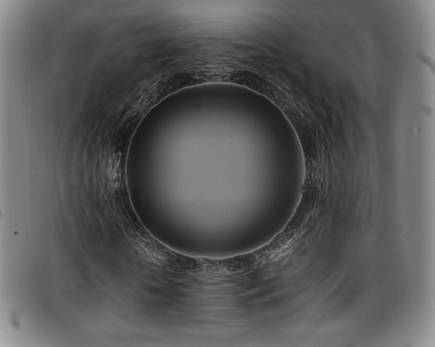 X0000097860818200803141236