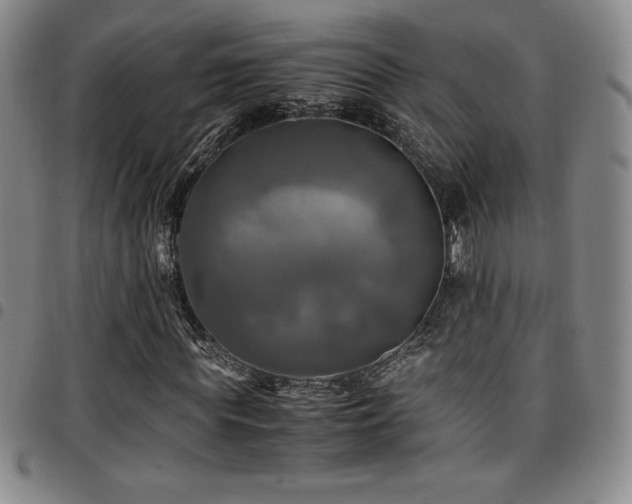 X0000097860819200803141236