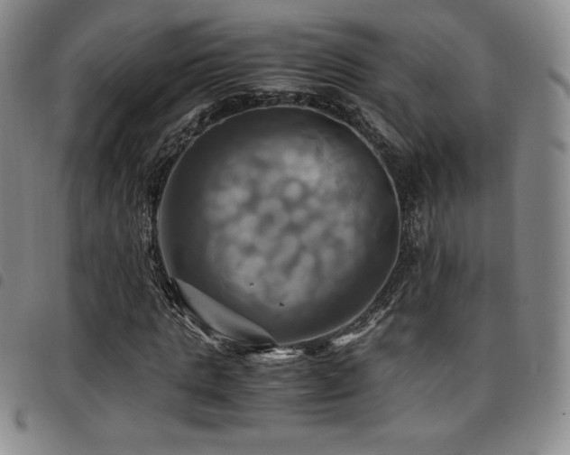 X0000097860821200803141236