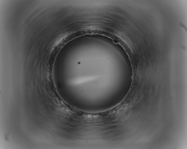 X0000097860823200803141236