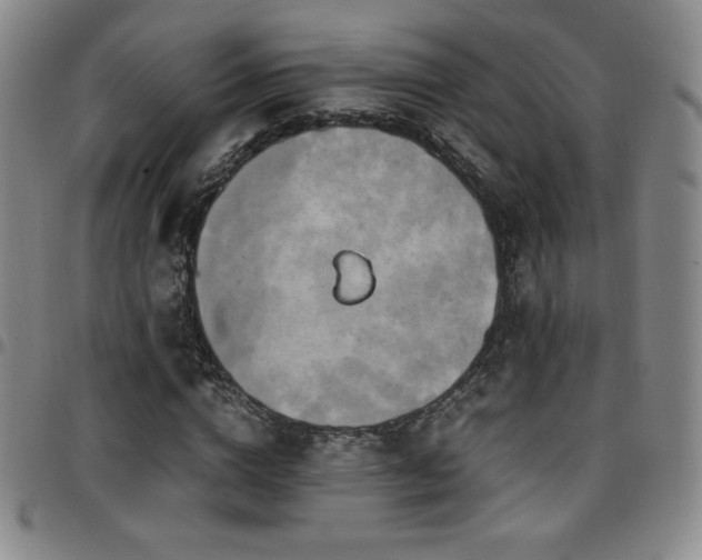 X0000097860824200803141236