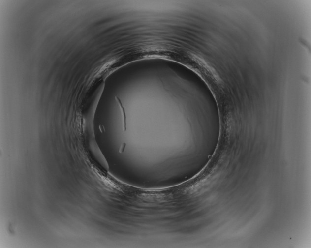 X0000097860825200803141236