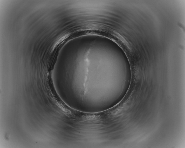 X0000097860826200803141236