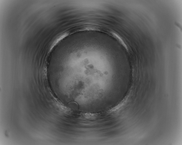 X0000097860827200803141236