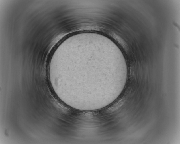 X0000097860828200803141236