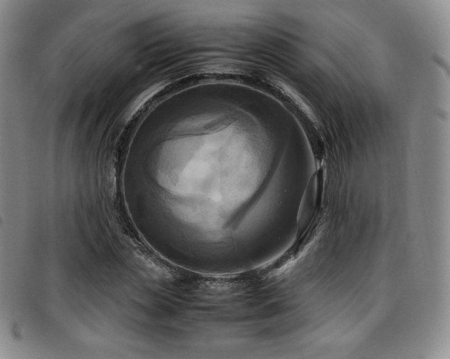 X0000097860829200803141236