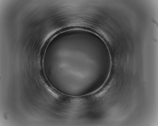 X0000097860830200803141236