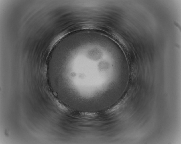 X0000097860831200803141236