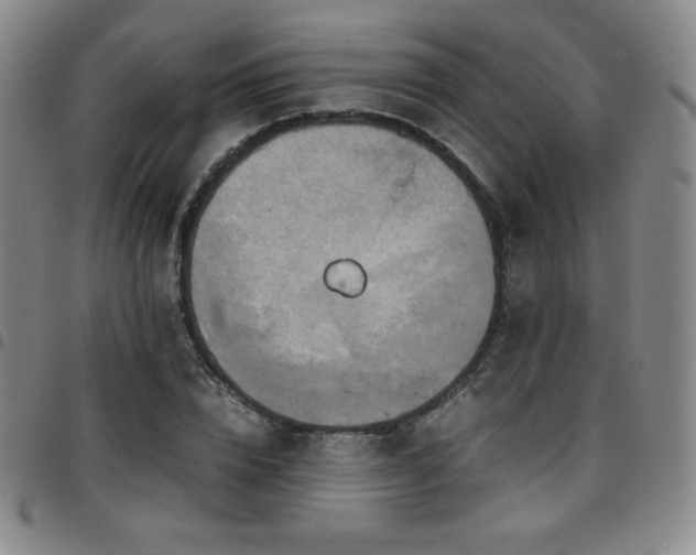 X0000097860832200803141236