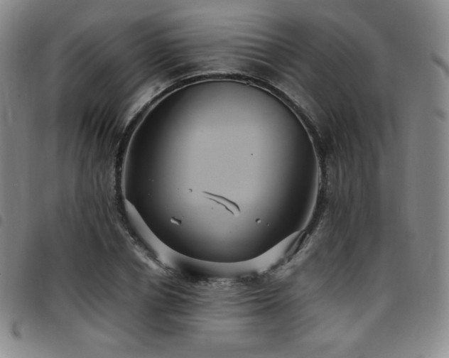 X0000097860834200803141236