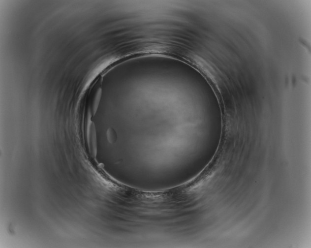 X0000097860835200803141236