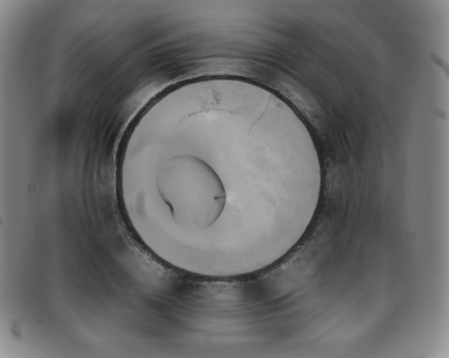 X0000097860836200803141236